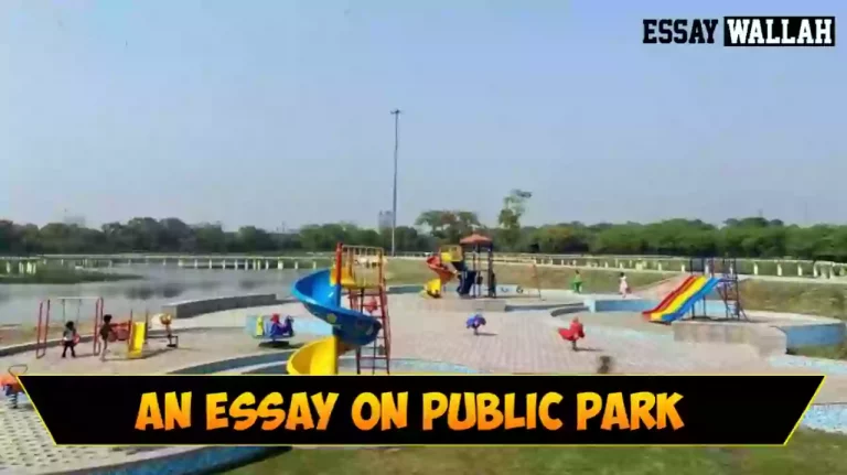 Essay On Park In English In 100, 150, 200 And 250 Words