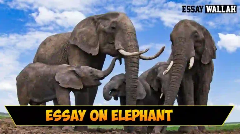The Elephant Essay In English In 150,200 & 250 words